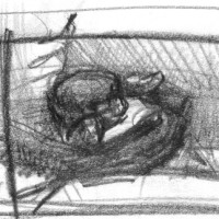 Cradled Baby (Study for ‘Child and Father’)